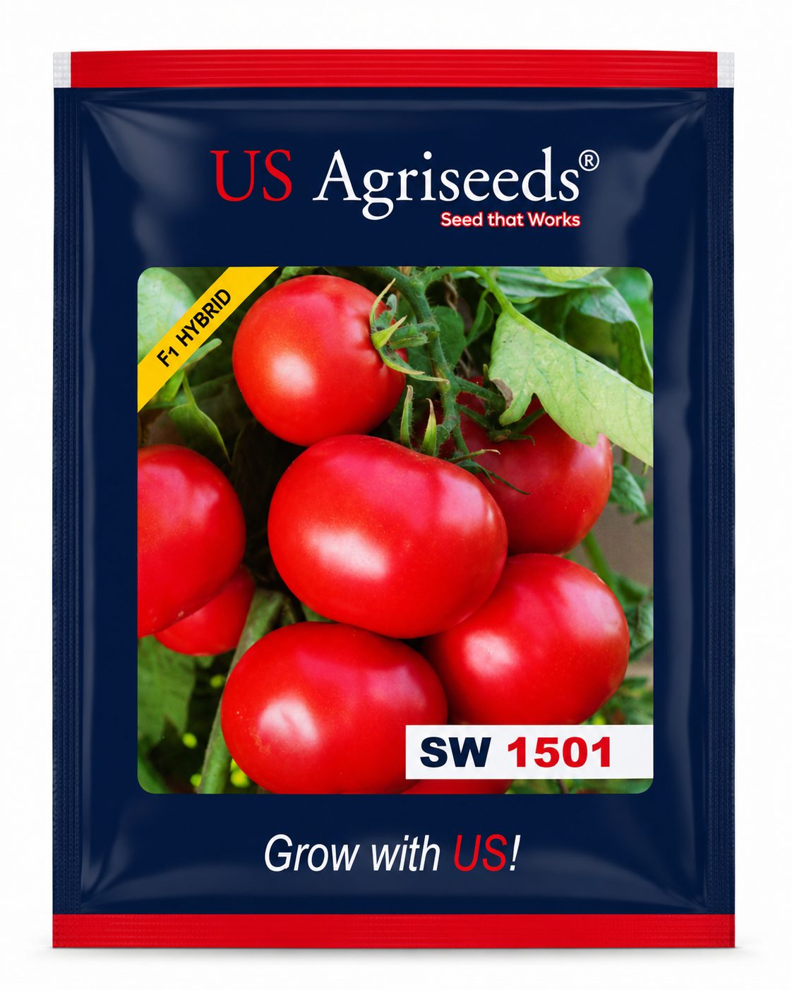 SW 1501 TOMATO 