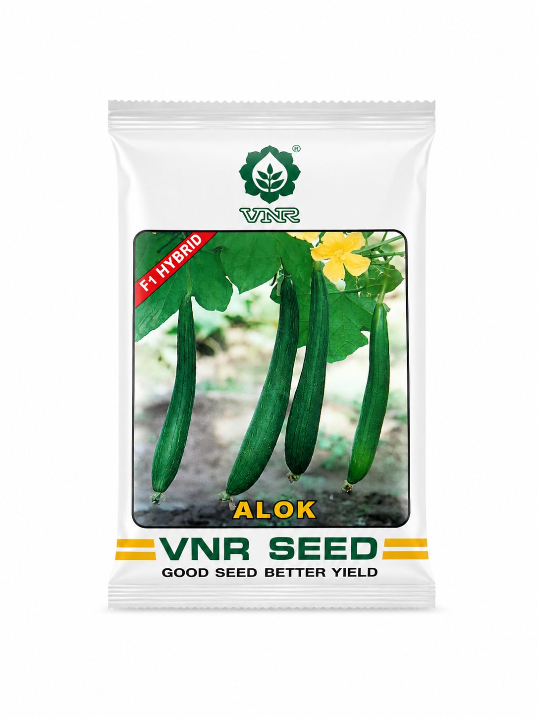 Alok  spongegourd
