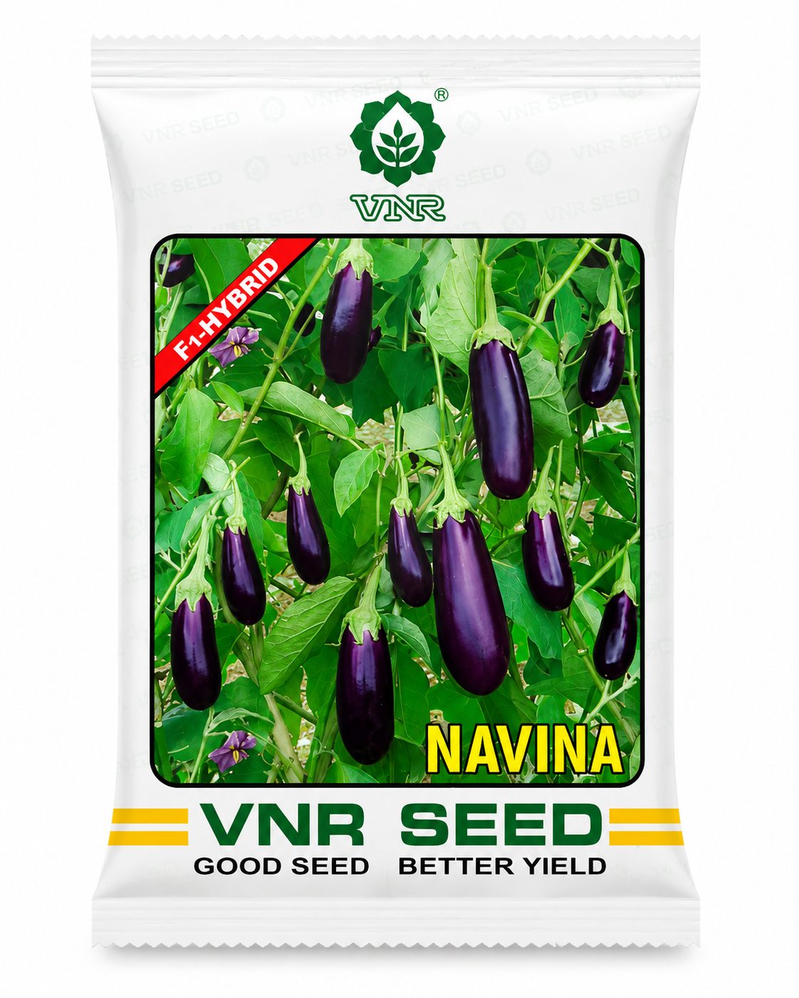 NAVINA F1 Hybrid Brinjal