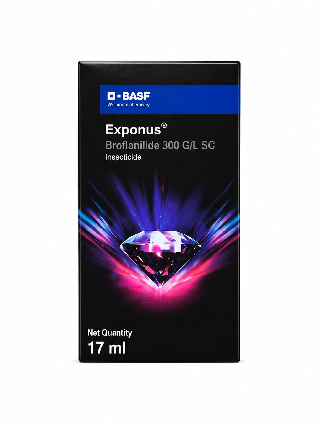 Exponus