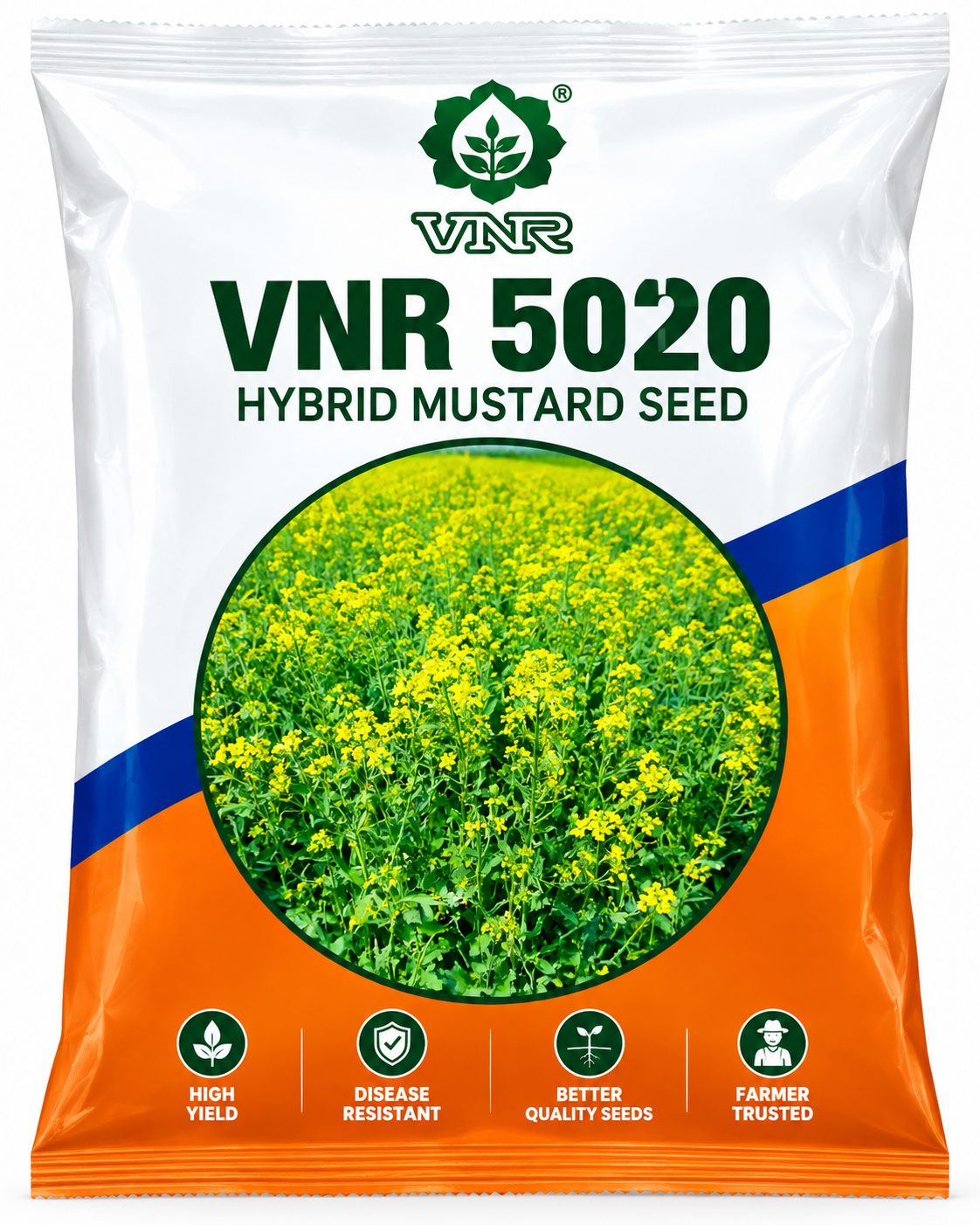 VNR 5020 MUSTARD SEEDS | F1 HYBRID|